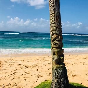 Meet your Posher, Jenny